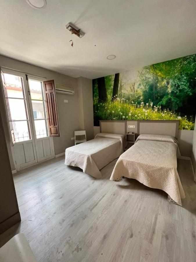 Hostal Viena Plaza Nueva غرناطة المظهر الخارجي الصورة
